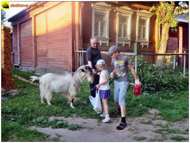 Дети и козёл. Село Дединово