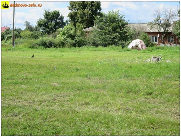 Козлёнок и ворона около кадетского корпуса. Село Дединово