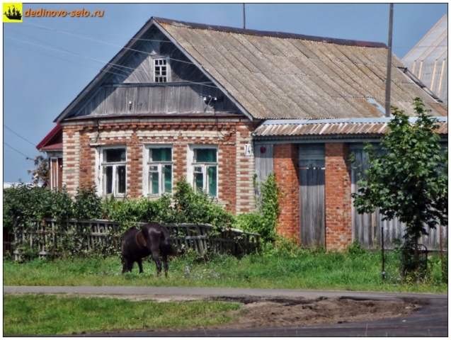 Лошадь около дома. Село Дединово