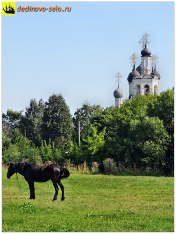 Конь напротив Троицкой церкви на другом берегу реки Ройки. Село Дединово
